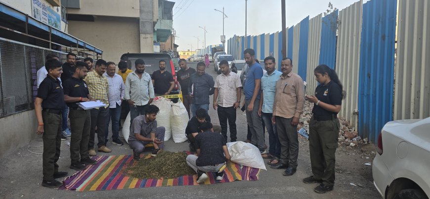 पिंपरी-चिंचवड पोलिसांची मोठी कारवाई; 57.73 लाखांचा 83 किलो गांजा जप्त, दोन आरोपी अटकेत