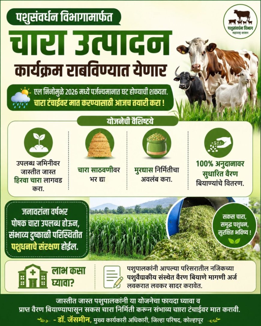 एल निनोच्या पार्श्वभूमीवर चारा उत्पादन कार्यक्रम; पशुपालकांना 100 टक्के अनुदानावर वैरण बियाणे