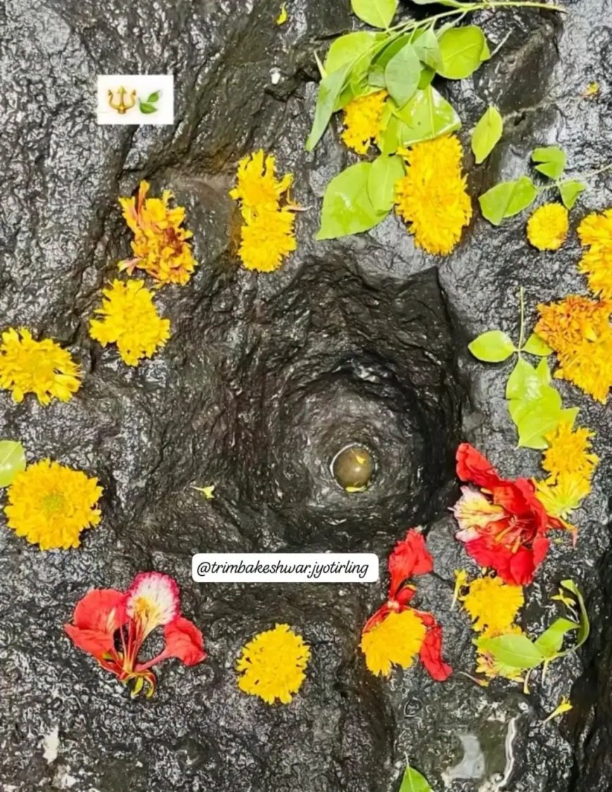 त्र्यंबकेश्वर मंदिरातील ६५ फूट खोल अमृतकुंडाची स्वच्छता; तळाशी शिवपिंडीचे दुर्मिळ दर्शन