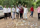 हिंगोलीत बोगस बियाणे आणि कीटकनाशकांविरोधात क्रांतिकारी शेतकरी संघटनेचे अनोखे आंदोलन; कृषी कार्यालयासमोर पैसे फेकून व्यक्त केला संताप