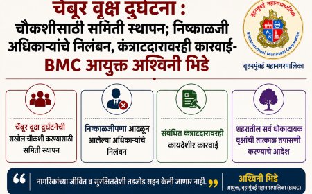 चेंबूर वृक्ष दुर्घटना : चौकशीसाठी समिती स्थापन; निष्काळजी अधिकाऱ्यांचे निलंबन, कंत्राटदारावरही कारवाई
