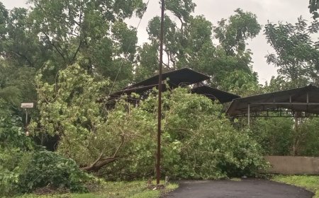 पेण-हमरापूरसह परिसरात मुसळधार पावसाचा कहर; अनेक गावांचा संपर्क तुटला, जनजीवन विस्कळीत