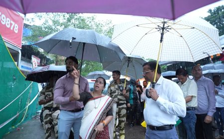 महापौर सुजाता पाटील यांची दुर्घटनास्थळांना भेट; पावसाळी परिस्थितीचा प्रत्यक्ष आढावा, तातडीच्या उपाययोजनांचे निर्देश