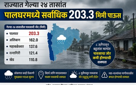 राज्यात गेल्या २४ तासांत पालघरमध्ये सर्वाधिक २०३.३ मिमी पाऊस; ८ जुलैपासून बहुतांश भागांत पावसाचा जोर कमी होण्याची शक्यता