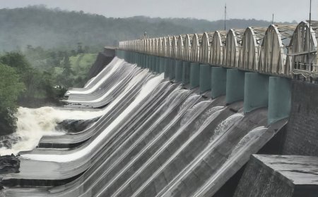 मुंबईला दिलासा! पाणीपुरवठा करणारा तानसा तलाव ओसंडून वाहू लागला; जलसाठा ६१.९० टक्क्यांवर