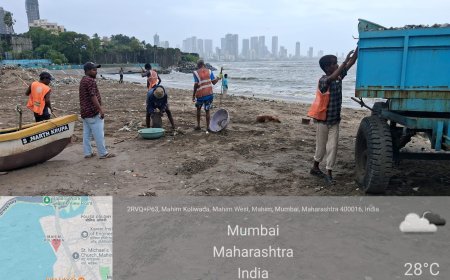 मुंबईच्या समुद्रकिनाऱ्यांवर ११ दिवसांत २,४९९ मेट्रिक टन कचरा हटवला; महापालिकेची विशेष स्वच्छता मोहीम यशस्वी