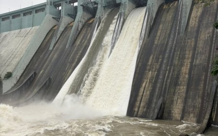मुंबईला दिलासा! मोडक सागर तलाव ओसंडून वाहू लागला; पाणीपुरवठा करणाऱ्या ७ पैकी ४ तलाव भरले