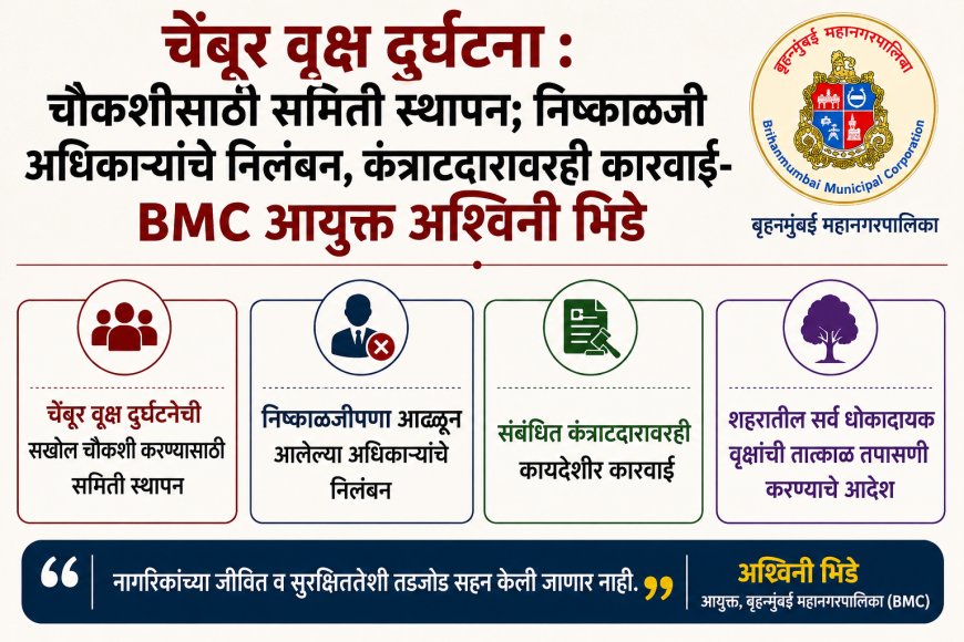 चेंबूर वृक्ष दुर्घटना : चौकशीसाठी समिती स्थापन; निष्काळजी अधिकाऱ्यांचे निलंबन, कंत्राटदारावरही कारवाई