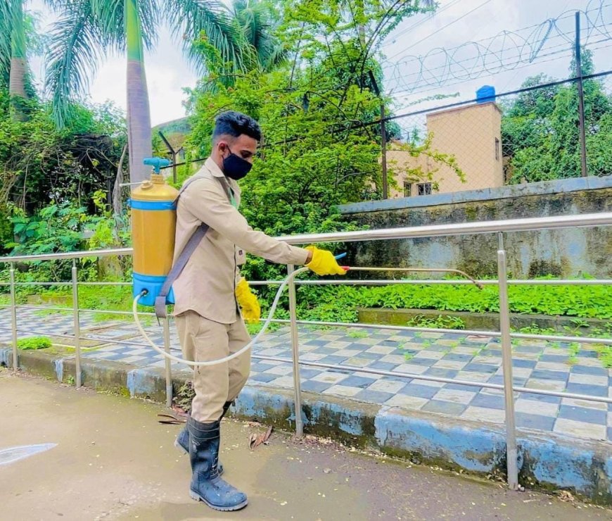 डेंग्यू-मलेरियाविरुद्ध पिंपरी-चिंचवड महापालिकेची व्यापक मोहीम; नागरिकांना स्वच्छता व डास प्रतिबंधाचे आवाहन