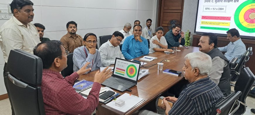 मुंबईतील झाडांचे वैज्ञानिक सर्वेक्षण व आरोग्य अभ्यासासाठी कृती आराखडा; वृक्षसंवर्धनासाठी महापालिकेचा मोठा निर्णय