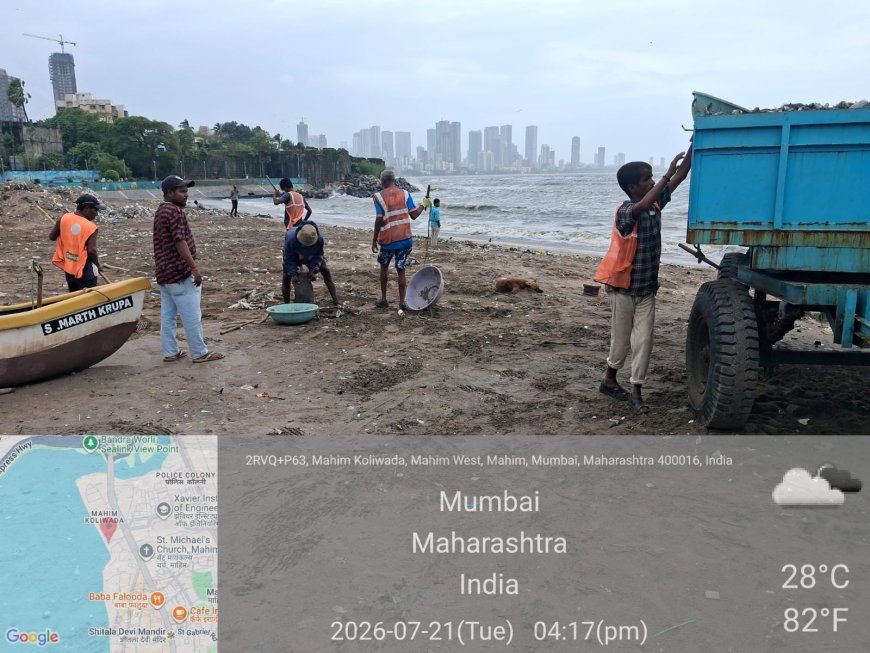 मुंबईच्या समुद्रकिनाऱ्यांवर ११ दिवसांत २,४९९ मेट्रिक टन कचरा हटवला; महापालिकेची विशेष स्वच्छता मोहीम यशस्वी