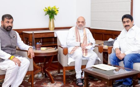 सचिन अहिर यांच्या नेतृत्वाखालील शिष्टमंडळाची केंद्रीय मंत्री अमित शहा, पियुष गोयल व सर्बानंद सोनोवाल यांची सदिच्छ भेट