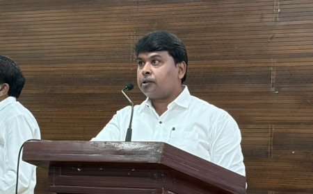 आमदार अमित गोरखे यांच्या पुढाकाराला यश; पिंपरी विधानसभा मतदारसंघातील वीज व्यवस्था अधिक सक्षम