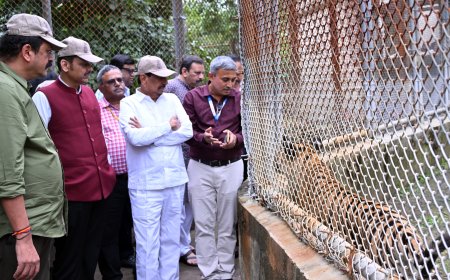 गोरेवाडा आंतरराष्ट्रीय प्राणी उद्यानातील कामांना नव्या ‘टाइमलाईन’ने गती द्या – मुख्यमंत्री देवेंद्र फडणवीस