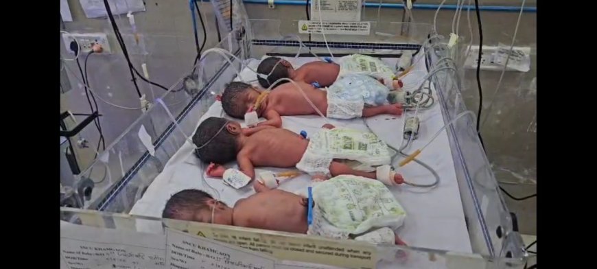 बुलढाण्यात दुर्मिळ घटना; महिलेने एकाच वेळी चार बाळांना दिला जन्म
