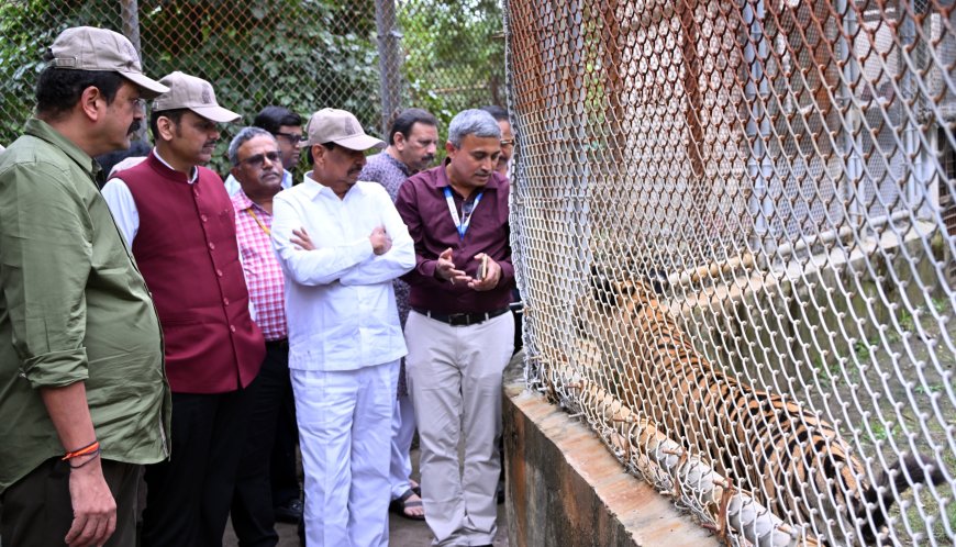गोरेवाडा आंतरराष्ट्रीय प्राणी उद्यानातील कामांना नव्या ‘टाइमलाईन’ने गती द्या – मुख्यमंत्री देवेंद्र फडणवीस