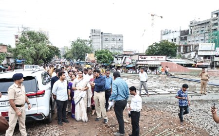 शीव रेल्वे पुलाचे काम ३० सप्टेंबरपर्यंत पूर्ण करण्याचे उद्दिष्ट; महापौर रितू तावडे यांची पाहणी