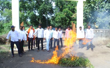 हिंगोलीत दुष्काळ जाहीर करण्याच्या मागणीसाठी वाळलेल्या सोयाबीनची होळी; हेक्टरी ५० हजार रुपयांच्या मदतीची मागणी