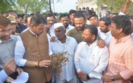 सोलापुरातील नुकसानग्रस्त शेतकऱ्यांना सरसकट मदतीसाठी शासन प्रयत्नशील – मुख्यमंत्री देवेंद्र फडणवीस