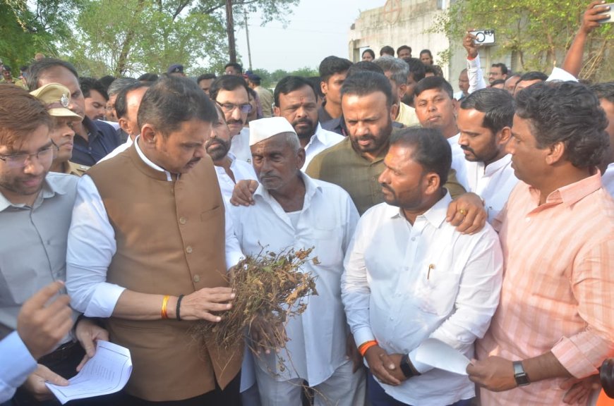 सोलापुरातील नुकसानग्रस्त शेतकऱ्यांना सरसकट मदतीसाठी शासन प्रयत्नशील – मुख्यमंत्री देवेंद्र फडणवीस
